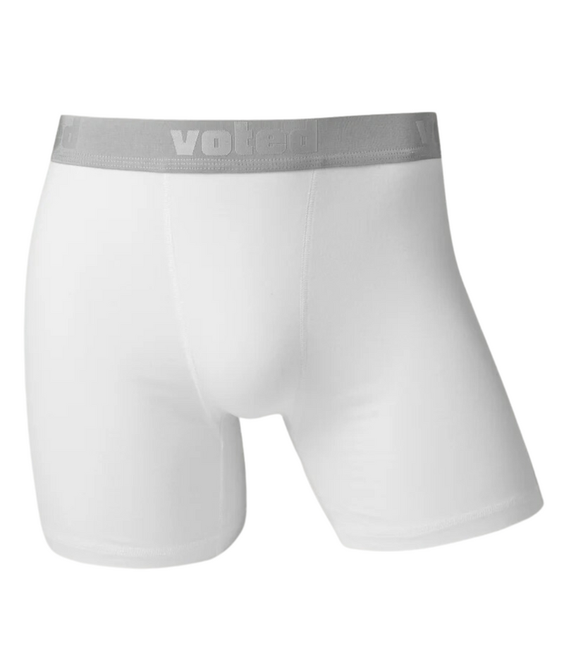 VOTED STAPLE BOXER BRIEF