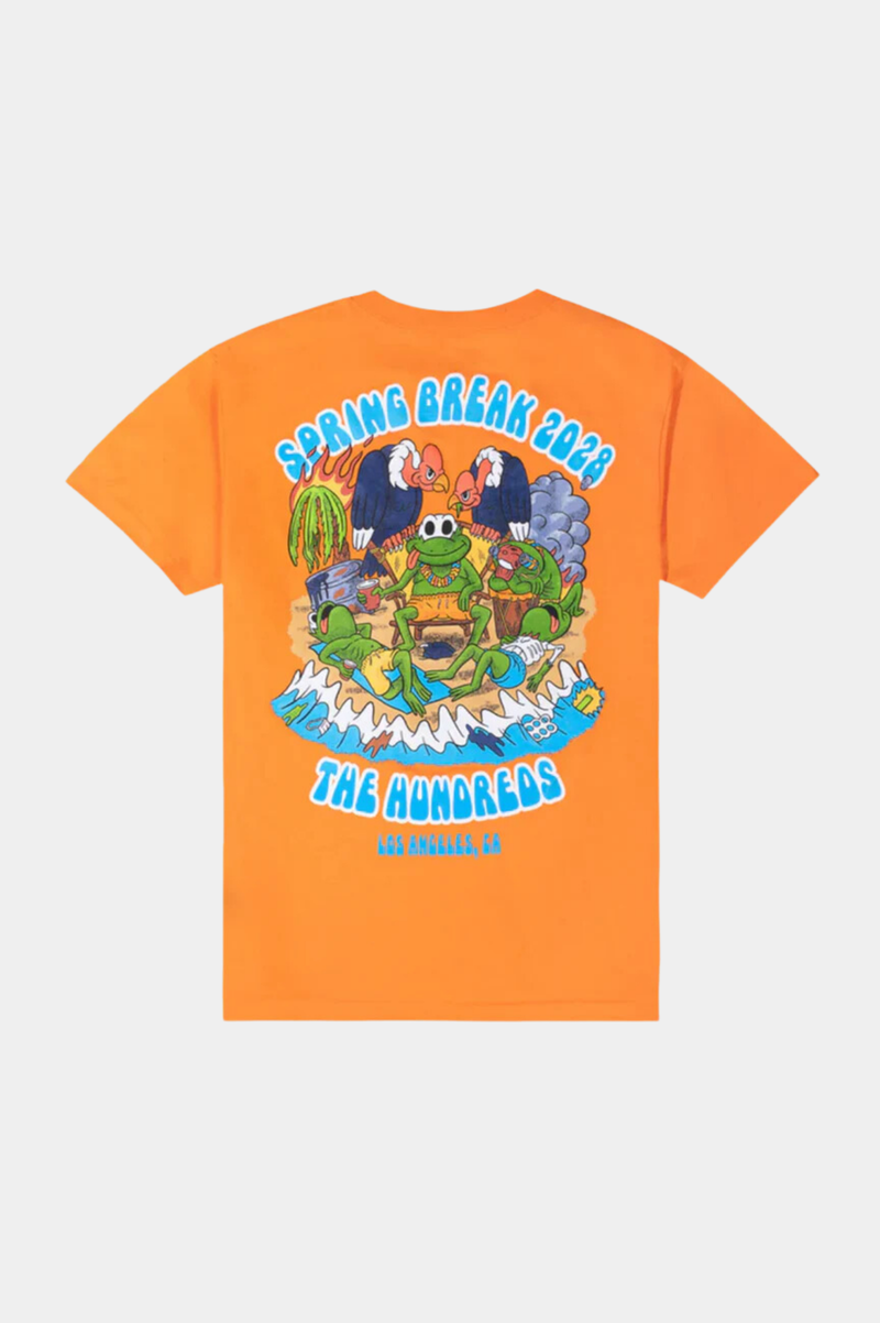 SPRING BREAK T-SHIRT